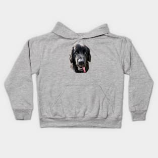 Newfoundland Bright Beauty Kids Hoodie